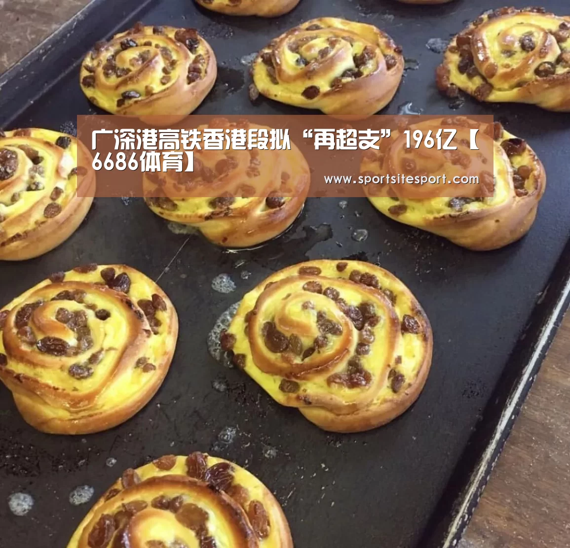 广深港高铁香港段拟“再超支”196亿【6686体育】(图3) 赛事直播