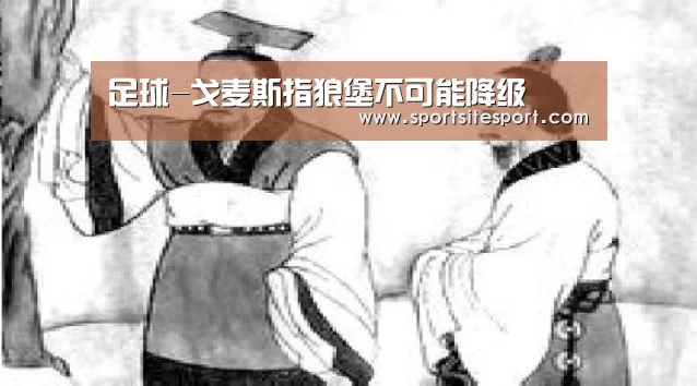 足球-戈麦斯指狼堡不可能降级(图1) 足球