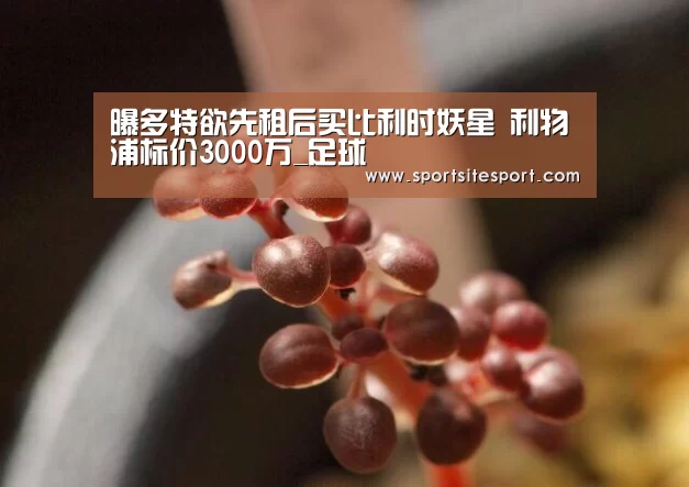 体育资讯