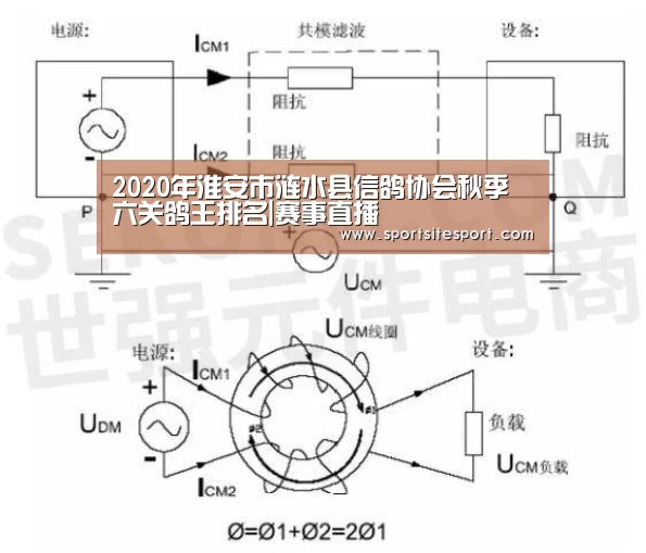 2020年淮安市涟水县信鸽协会秋季六关鸽王排名|赛事直播(图3) 体育资讯